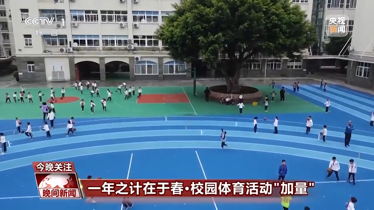 决策