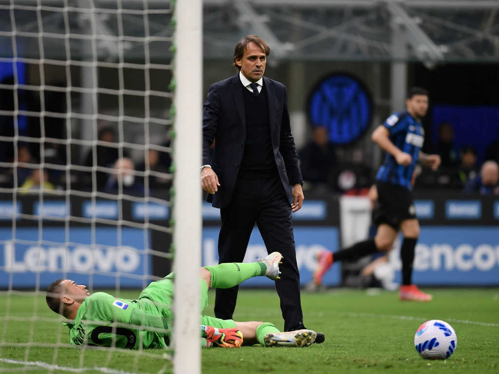 对鹈鹕队的 对鹈鹕队的