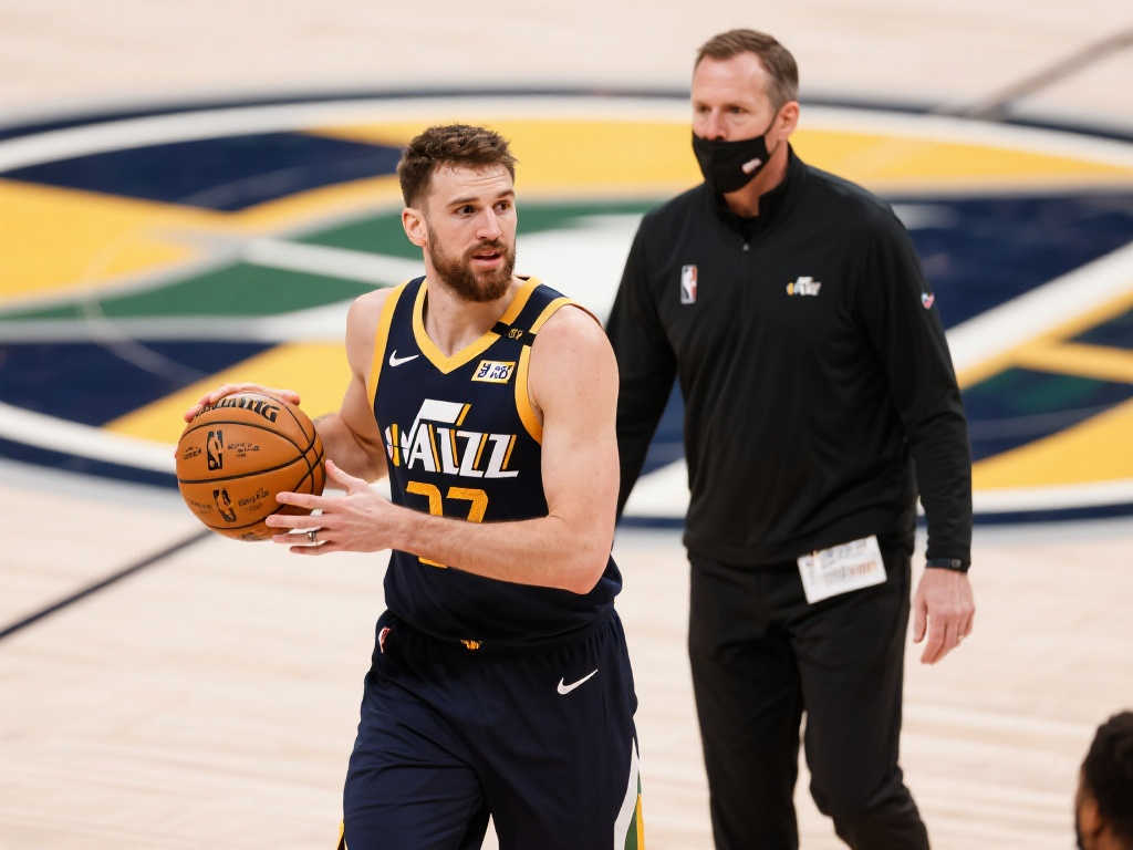 领衔的快速 领衔的快速